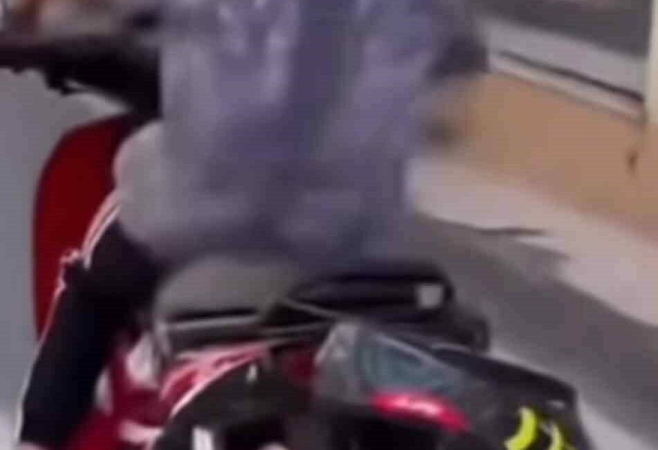Kaskı kafasına değil plakaya taktı…İlginç anlar kamerada Bursa’da ehliyetinin olmadığı iddia edilen bir motosiklet sürücüsü plakasını kaskla