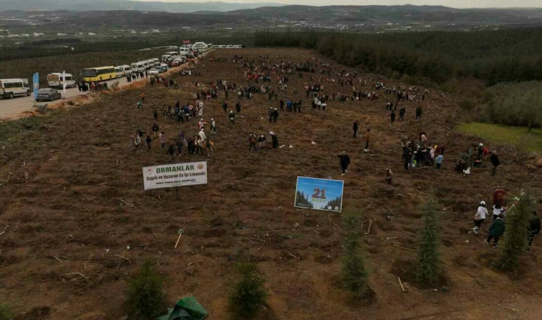 Minik elleriyle fidanları toprakla buluşturdular Bursa’da 21 Mart Dünya Ormancılık Günü çerçevesinde 10 bin fidan