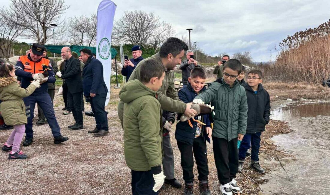 Minik öğrenciler, avuçlarına sığmayan ördekleri doğaya saldı Bursa’da 1. sınıf öğrencileri, avuçlarına sığmayan ördekleri Dünya Yaban Hayatı