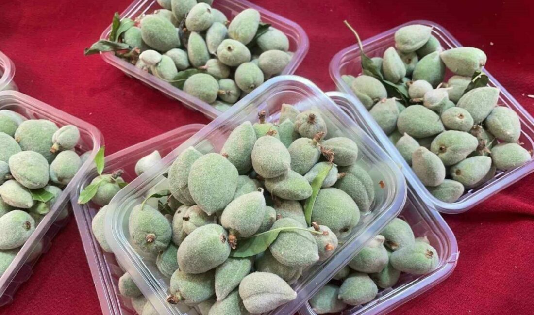 Bursa’da mart ayının ilk haftasında pazar tezgahlarında bin liradan satılan