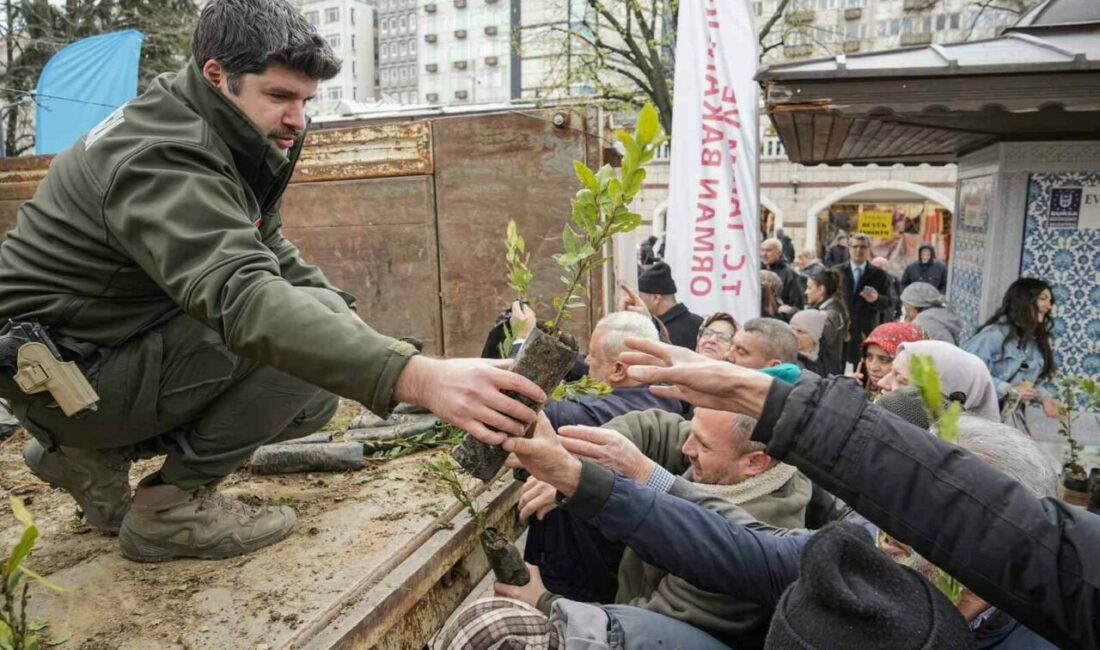 21-26 Mart Orman Haftası dolayısıyla dağıtılan ücretsiz fidanları almak isteyen
