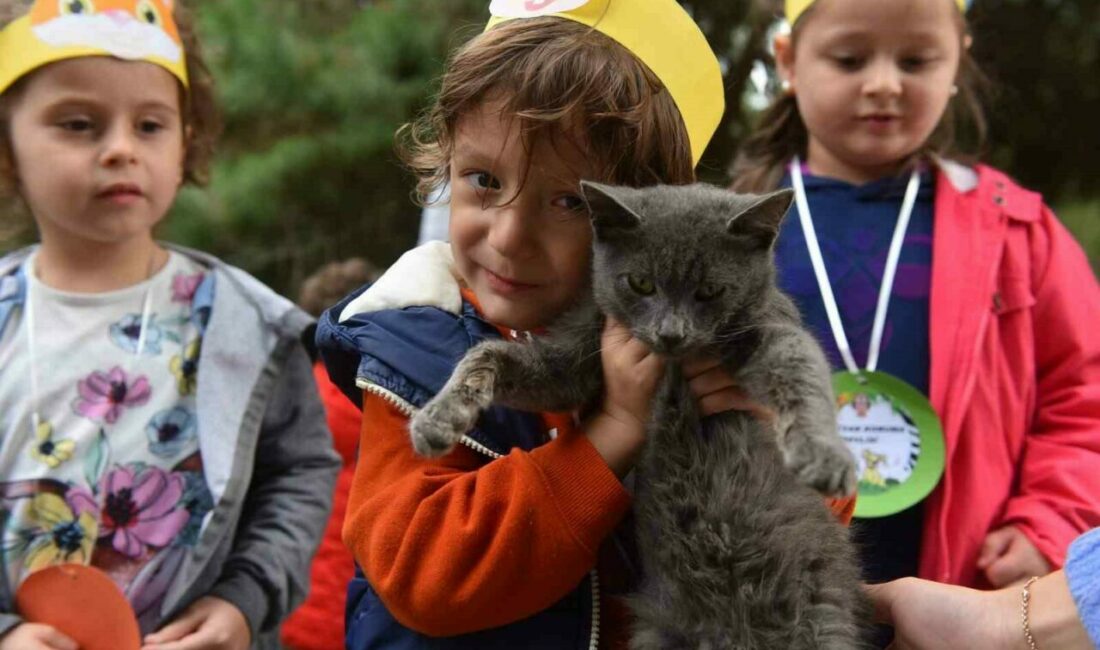 Yıldırım’da 625 patili dost sıcak yuvaya kavuştu Yıldırım Belediyesi Sokak Hayvanları Tedavi Merkezi ve Doğal Yaşam Alanı’nda