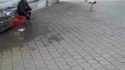 Bursa’nın Nilüfer ilçesi Fadıllı köyünde geçtiğimiz yıllarda arkadaş olan Yusuf