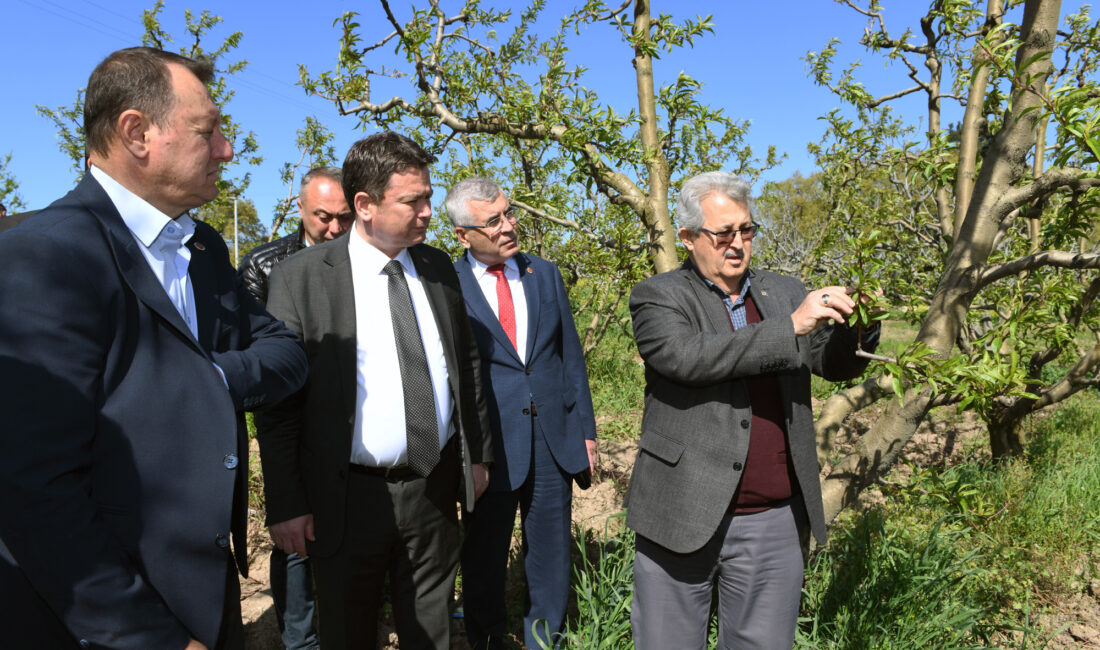 Osmangazi Belediye Başkanı Erkan Aydın, zirai dondan etkilenen çiftçileri ziyaret