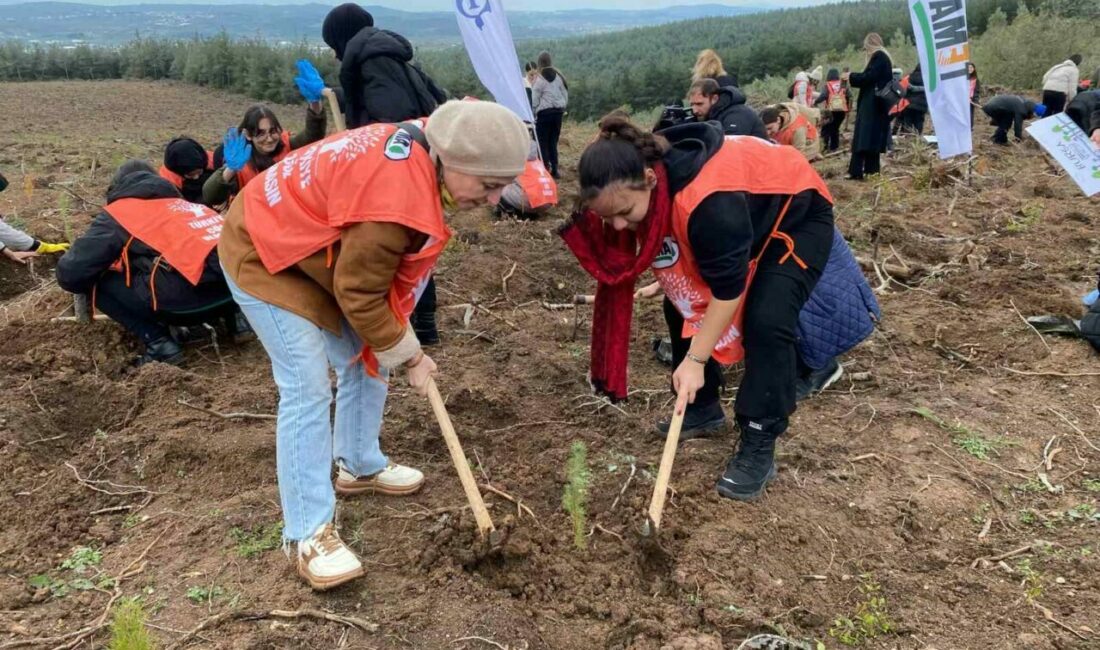 “81 İlde 81 Orman” Projesi kapsamında Bursa’da 10 bin fidan toprakla buluştu Orman Genel Müdürlüğü ve TEMA Vakfı iş birliğinde “81 İlde