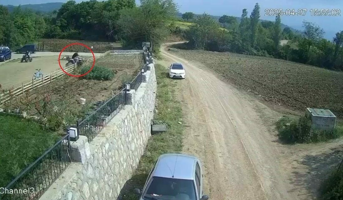 Arazi motosikletinin kaza anı kamerada Bursa’da arazi motosikleti ile seyir halindeyken dengesini kaybedip çitlere çarpan