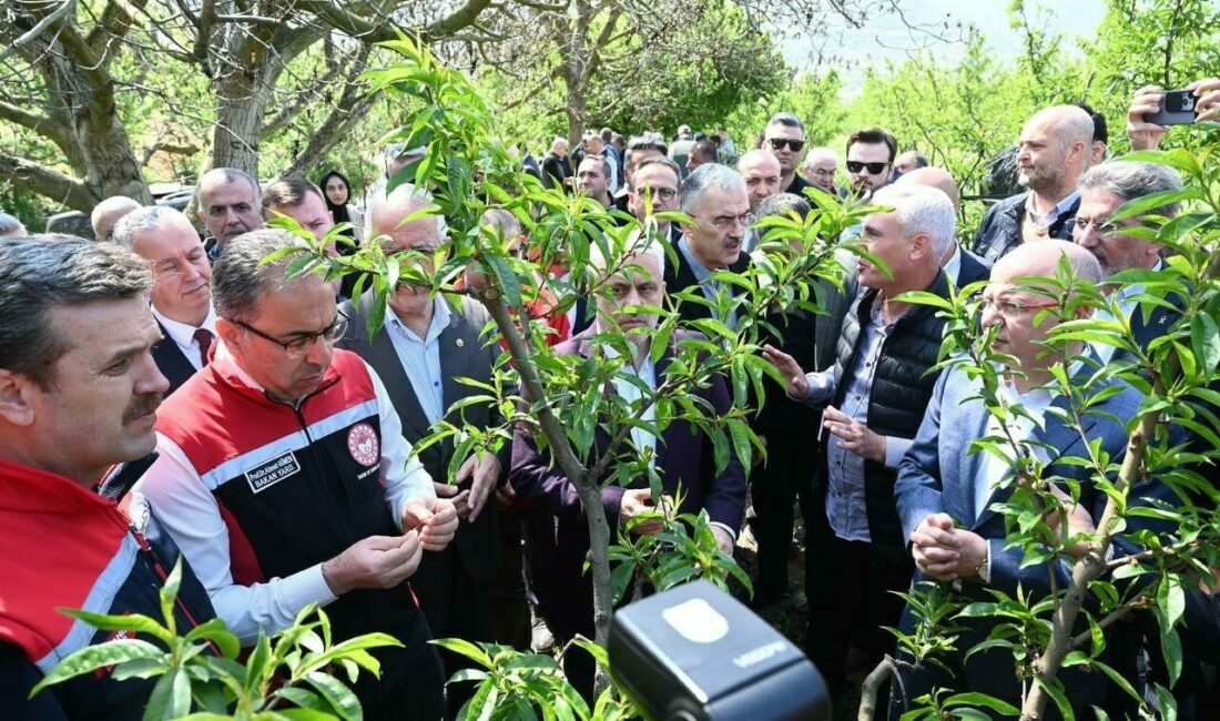 Bakan Yardımcısı Gümen: “Bazı yerlerde yüzde 10, bazı yerlerde ise yüzde 100 hasar oranı var” Tarım ve Orman Bakan Yardımcısı Prof. Dr. Ahmet Gümen, Bursa’nın