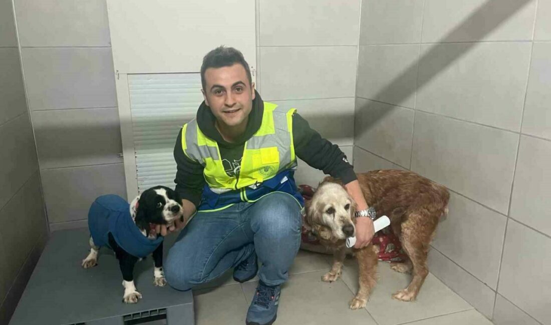 Bursa Büyükşehir, bayramda da can dostların yanında Bursa Büyükşehir Belediyesi Sokak Hayvanları Bakım ve Rehabilitasyon Merkezi, bayram