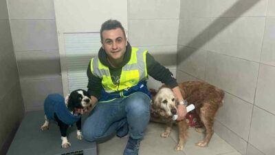 Bursa Büyükşehir Belediyesi Sokak Hayvanları Bakım ve Rehabilitasyon Merkezi, bayram