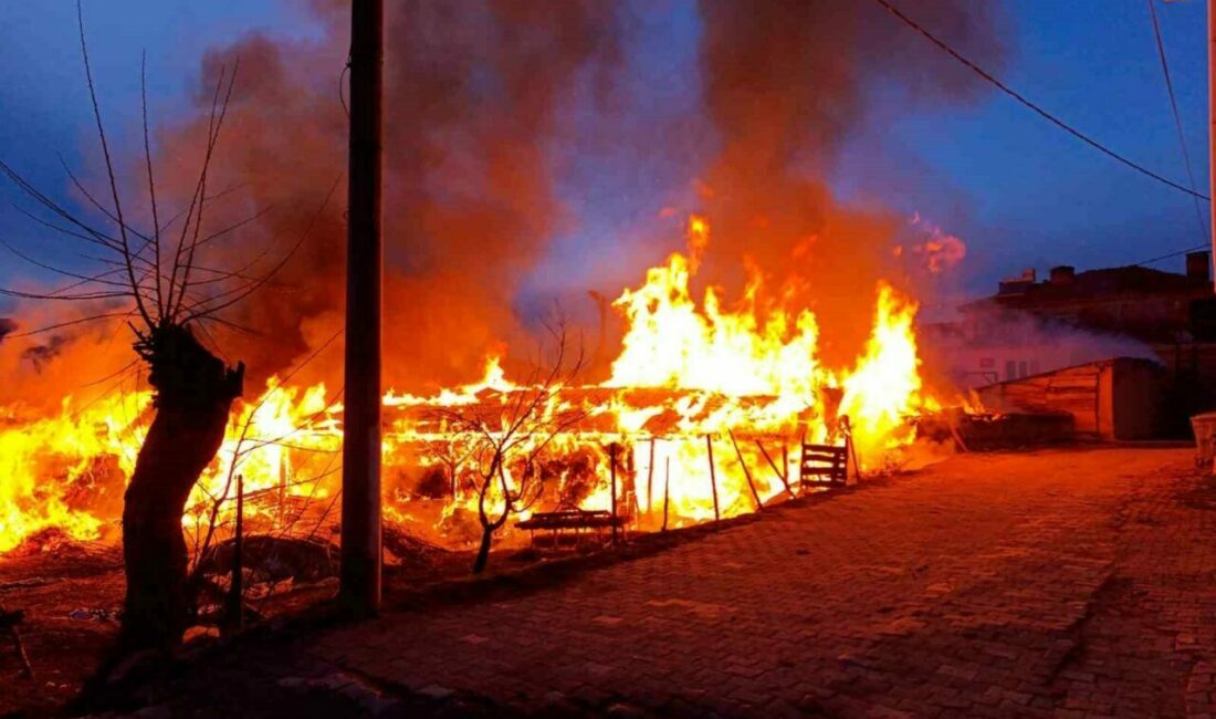 Bursa’da bir köye panik yaşatan yangın Bursa’nın Orhaneli ilçesinde bir ahır, henüz bilinmeyen bir sebepten dolayı