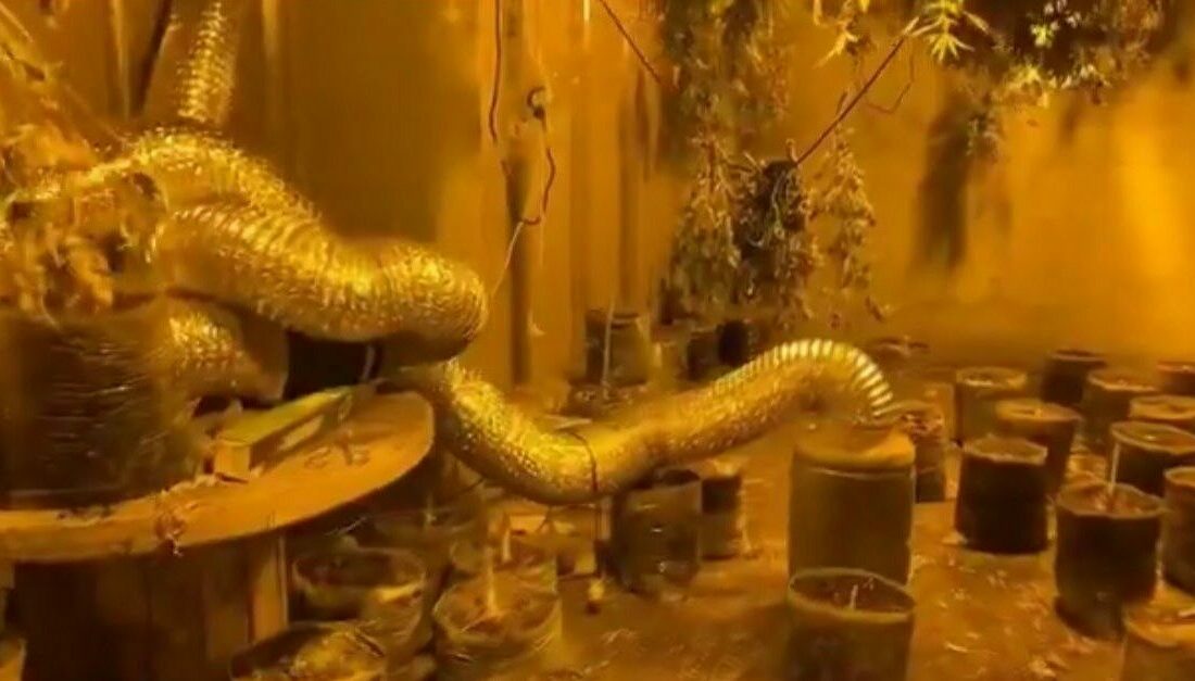 Bursa’da dev operasyon: 24 şüpheli yakalandı, 25 kilo uyuşturucu ele geçirildi Bursa Cumhuriyet Başsavcılığı koordinesinde İl Jandarma Komutanlığı ekiplerince uyuşturucu satıcılarına