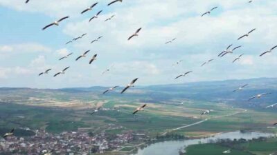Bursa’nın İnegöl ilçesindeki Boğazköy Barajı, bahar aylarının gelişiyle birlikte göç