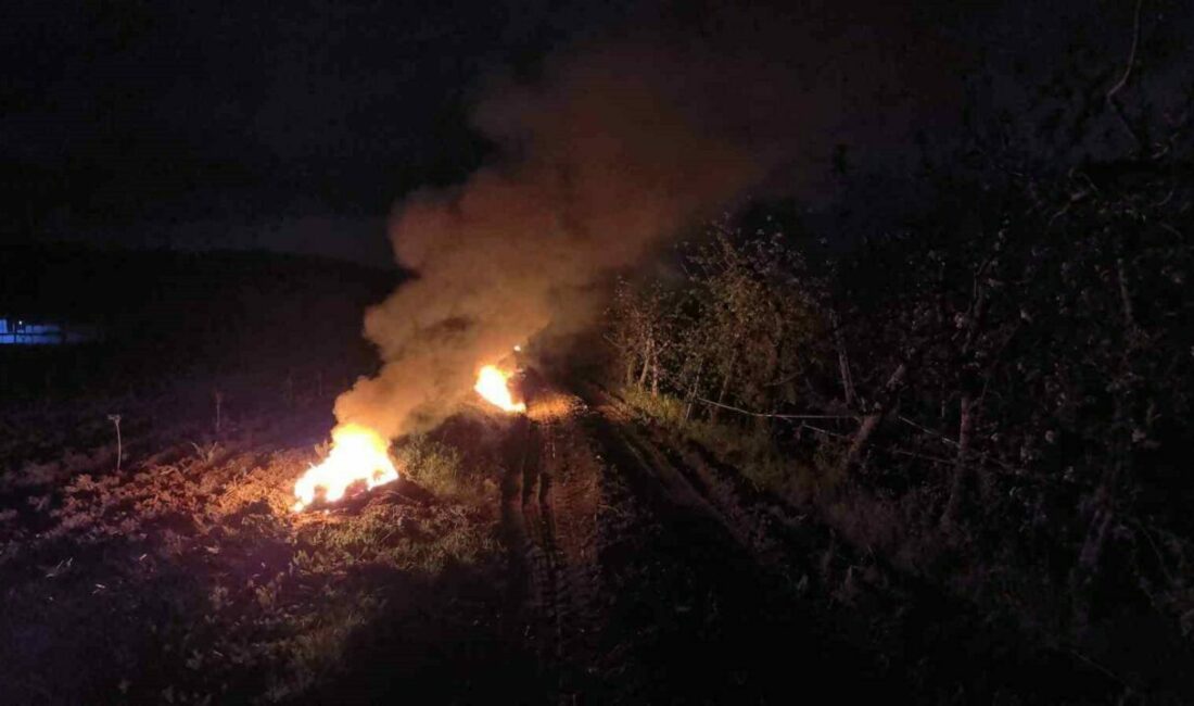 Bursa’nın İnegöl ilçesinde gece sıcaklıkların sıfırın altına inmesiyle oluşan dondan