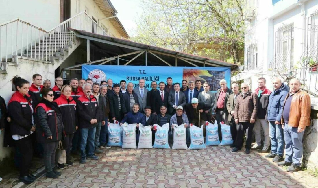 Çiftçilere hibe destekli tohum dağıtıldı Bursa’nın Mustafakemalpaşa ilçesinde TAKE projesi kapsamında çiftçilere yüzde 75’i hibe