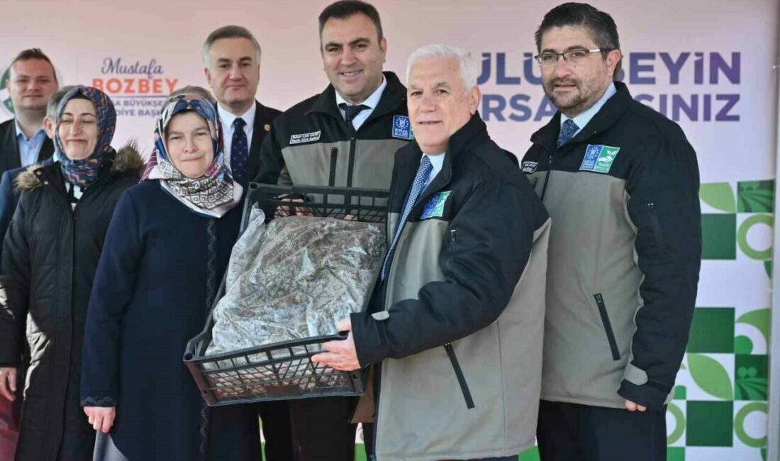 Çiftçiye 1 milyon 222 bin çilek fidesi hibe edildi Bursa’daki çilek üretiminin daha verimli hale getirilmesi hedefiyle 147 üreticiye