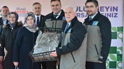 Bursa’daki çilek üretiminin daha verimli hale getirilmesi hedefiyle 147 üreticiye