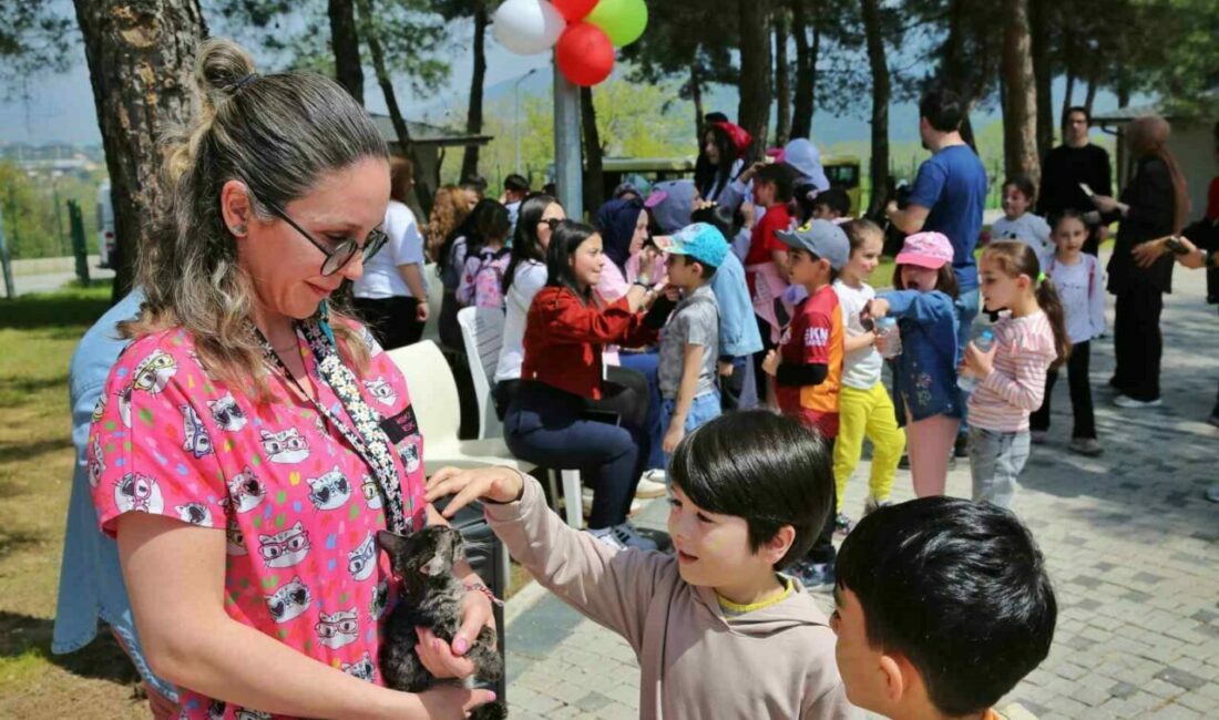 Çocuklara hayvan sevgisi aşılandı Bursa’nın 17 ilçesinde sokak hayvanlarına sahip çıkan, sağlık hizmetlerinden yuvalandırmaya
