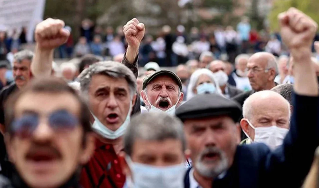 Emekli ve Emekçi Dernekleri Federasyonu (EMED-FED) Başkanı Gönül Boran Özüpak,