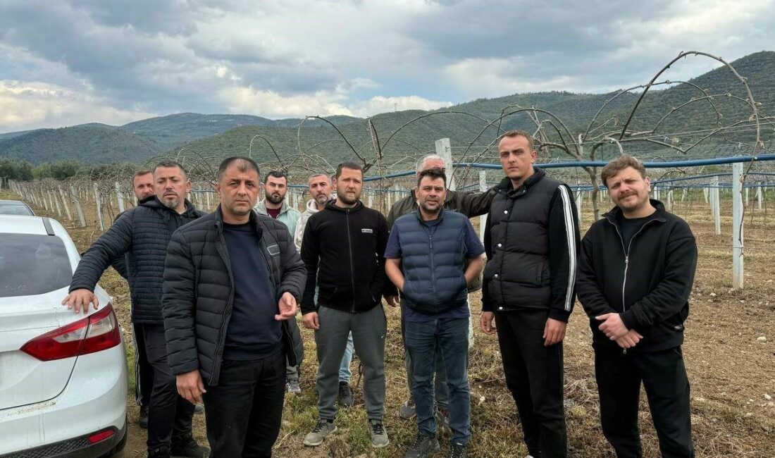 İznik Ovası’nı don vurdu Bursa’nın İznik ilçesinde soğuk hava ve sonrasında yaşanan don meyve