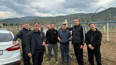 Bursa’nın İznik ilçesinde soğuk hava ve sonrasında yaşanan don meyve