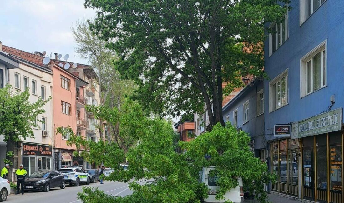 Bursa’nın İnegöl ilçesinde kırılan ağaç, kamyonetin üzerine devrildi. Araçta maddi