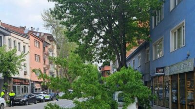Bursa’nın İnegöl ilçesinde kırılan ağaç, kamyonetin üzerine devrildi. Araçta maddi