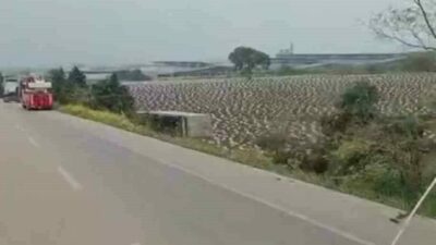 Bursa-Balıkesir Yolu üzerinde sürücüsünün kontrolünden çıkan tır tarlaya uçtu. Kaza,