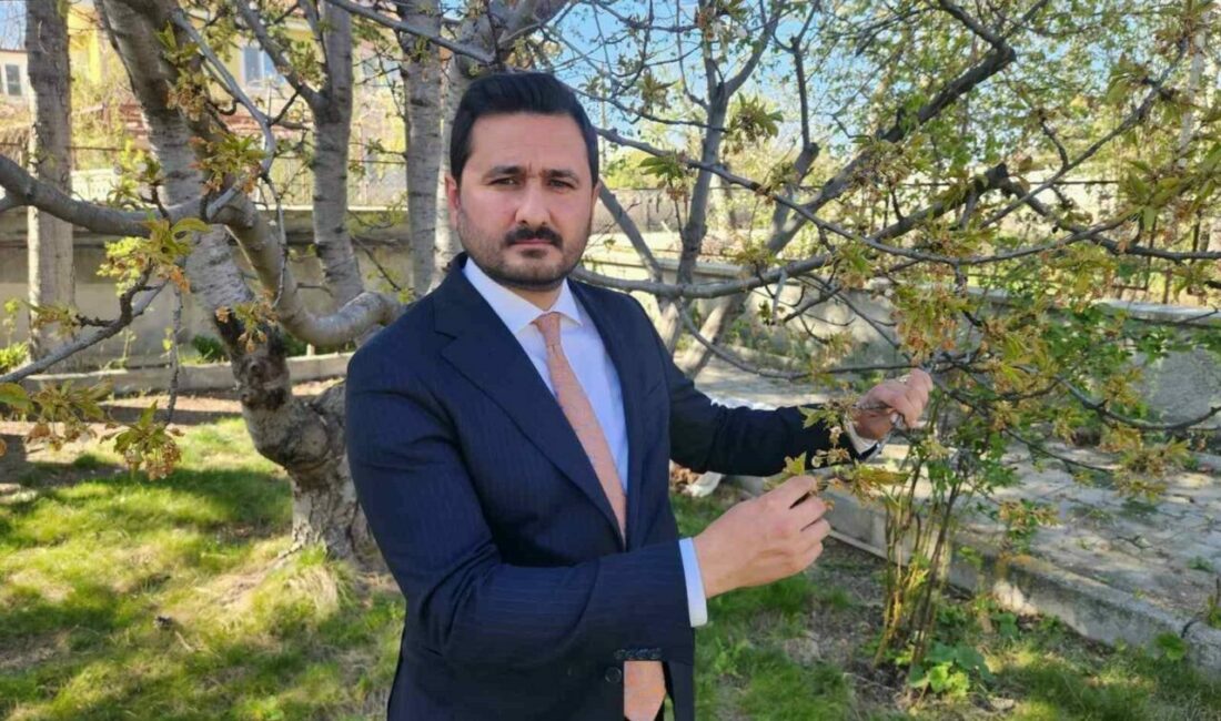 İngiliz Kraliyet ailesinin sofrasına kadar ulaşan iyi kalitede ihracatlık Türk