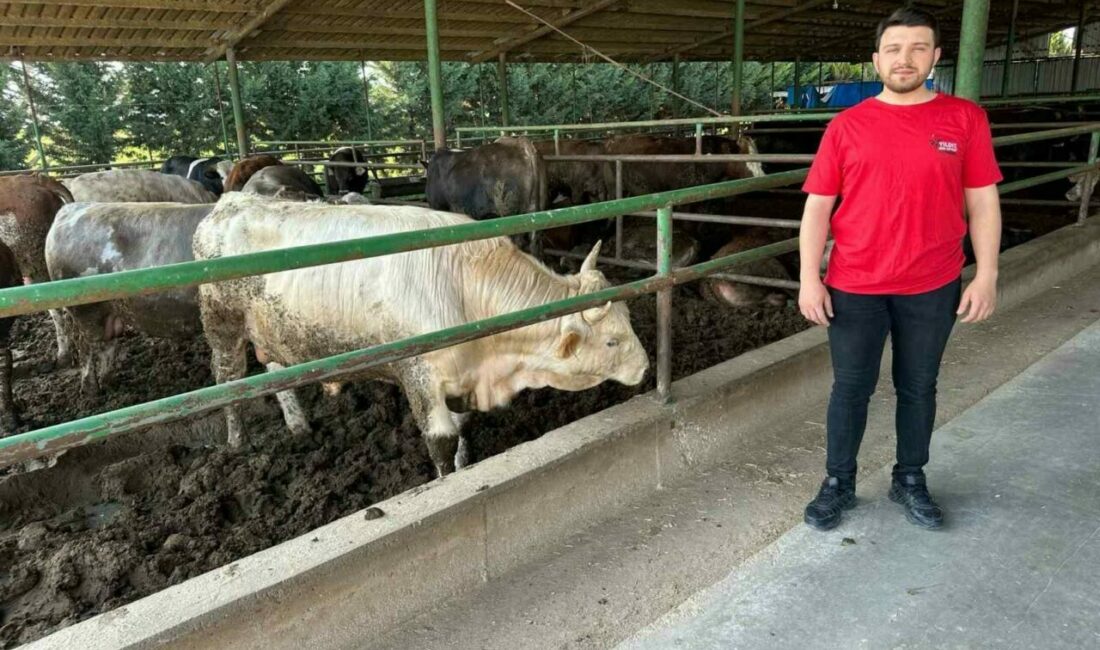 Kurbanlık fiyatlarında geçen yıla oranla büyük değişiklik yok Yaklaşan Kurban Bayramı öncesi piyasalarda kurban telaşı başladı. Vatandaşlar fiyatları