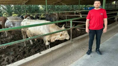 Yaklaşan Kurban Bayramı öncesi piyasalarda kurban telaşı başladı. Vatandaşlar fiyatları