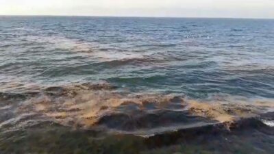 Bursa’nın Gemlik Körfezi’nde geçtiğimiz hafta görülen ve etkisini devam ettiren