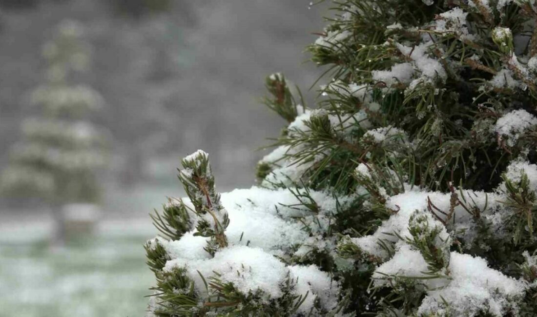 BURSA (İHA) – Kış turizminin önemli merkezlerinden biri olan Uludağ’da