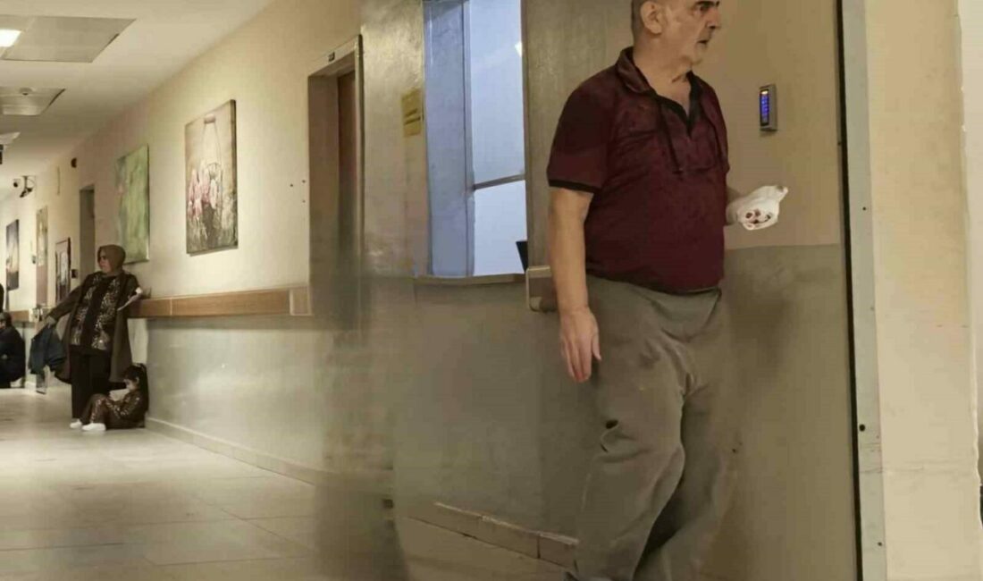Odun keserken az daha elinden oluyordu Bursa’nın ilçesinde meydana gelen olayda odun keserken elinden yaralanan yaşlı