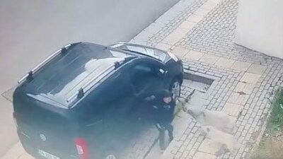 Bursa’nın Orhangazi ilçesinde, başıboş köpekler, ilkokul öğrencisine korku dolu anlar