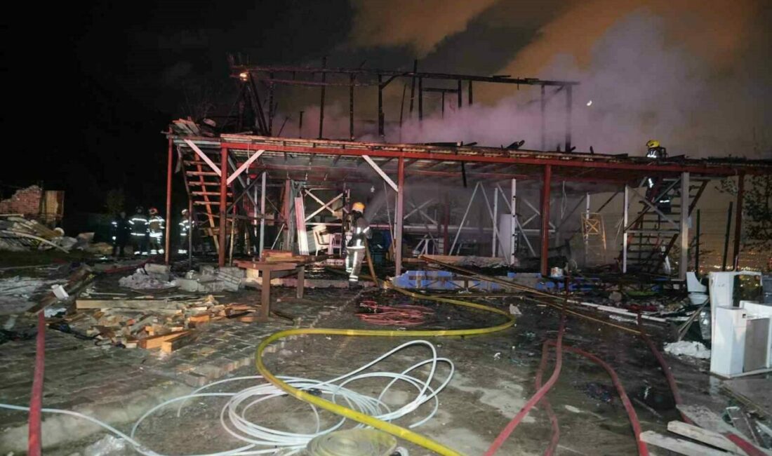 Orman içerisindeki baraka yangında kül oldu Bursa’nın Yıldırım ilçesinde çıkan yangında orman içindeki baraka kül oldu.
