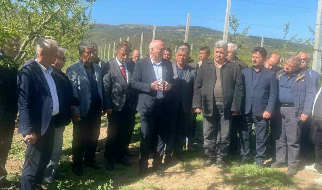 Türkiye Ziraat Odaları Birliği (TZOB) Genel Başkanı Şemsi Bayraktar, zirai don