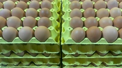 Bursa’da market ve şarküterilerde 30’lu kolisinin fiyatı 300 lirayı geçen