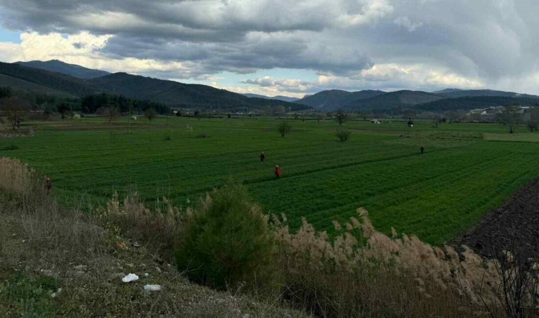 Yaşlı adamdan 2 gündür haber alınamıyor Bursa’nın Orhaneli ilçesinde köpeği ile birlikte gezmek için evden çıkan