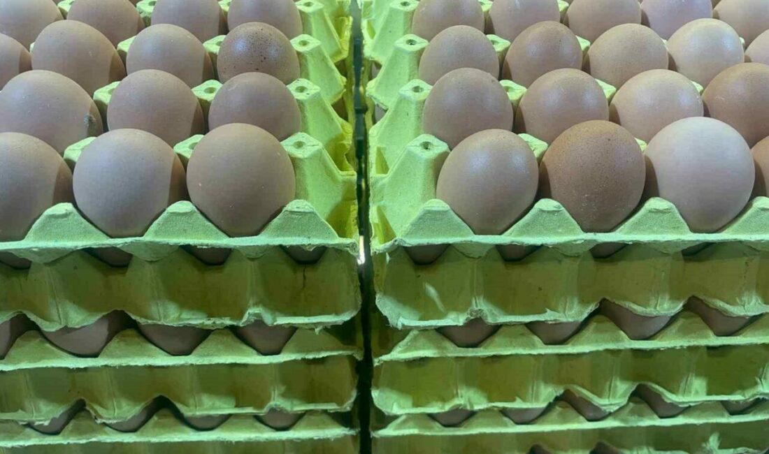 Yumurta fiyatları “mayıs çukuru” yaklaşınca düşüşe geçti Yumurta Üreticiler Merkez Birliği (YUM-BİR) Başkanı İbrahim Afyon, yumurta fiyatlarının