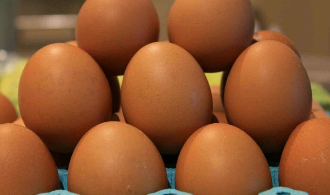 Yumurtada fiyatlar düşünce ihracatta fon kesintisinin kaldırılması istendi Ege Su Ürünleri ve Hayvansal Mamuller İhracatçıları Birliği Başkanı Bedri Girit, bu