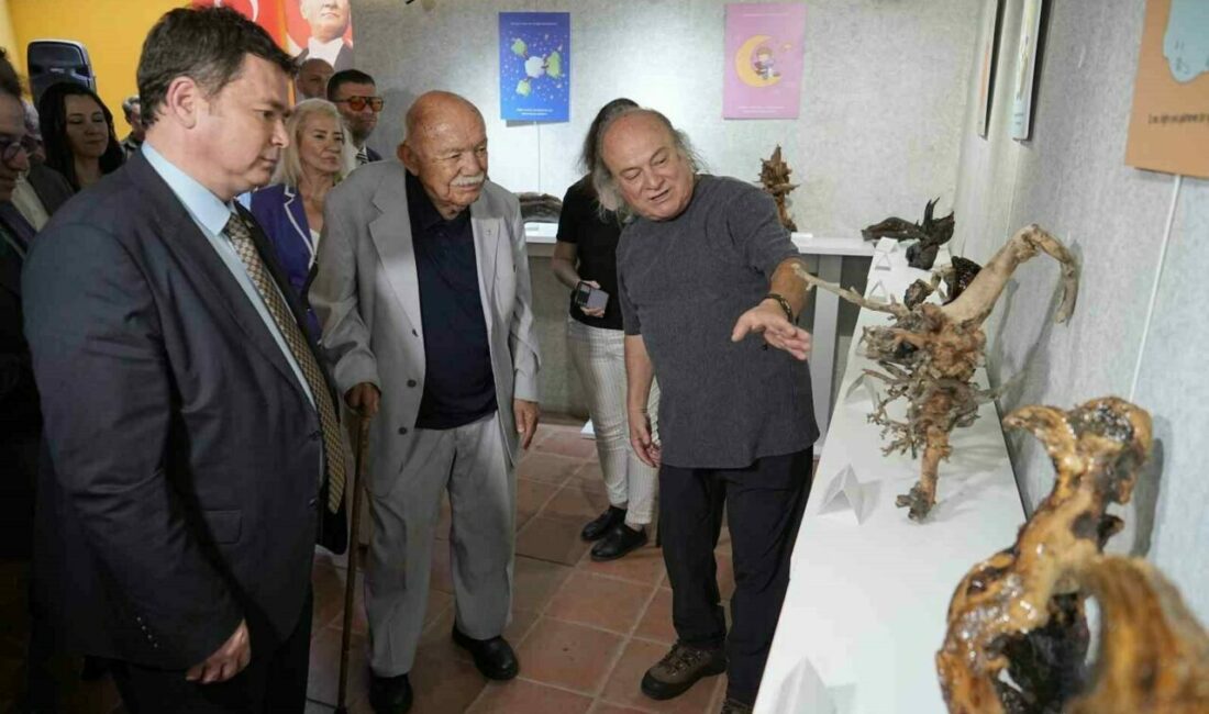 Doğa sanatçısı Tansel Saylı’nın 14 yıl boyunca dağlardan topladığı doğal