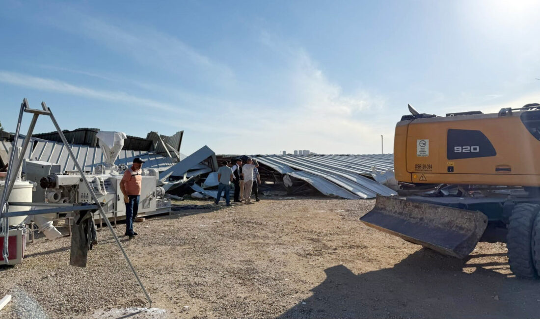 Osmangazi Belediyesi, Çağlayan Mahallesi’nde tarım arazisi üzerine kaçak olarak inşa