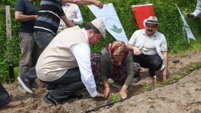Osmangazi Belediyesi, tarımsal kalkınmanın desteklenmesi ve kentin üretim potansiyelinin arttırılması