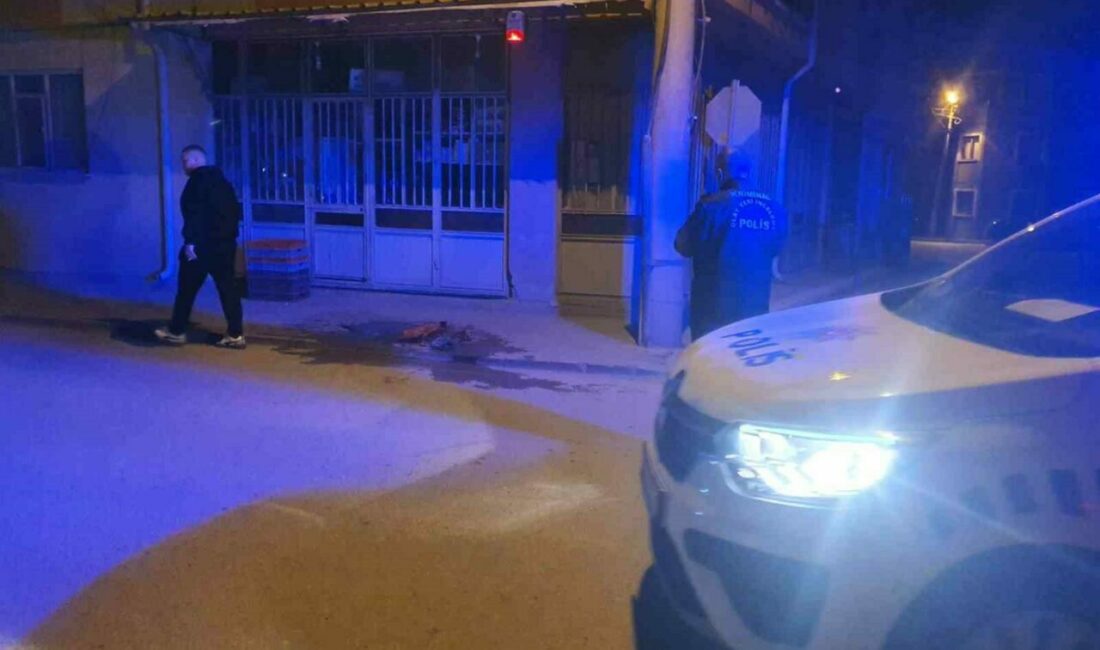 Bursa’nın İnegöl ilçesinde meydana gelen olayda zihinsel engelli genç, bir