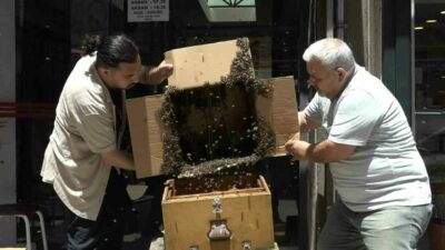 Bursa’da iş merkezini basan arılar, korku dolu anlar yaşattı. Arılarla