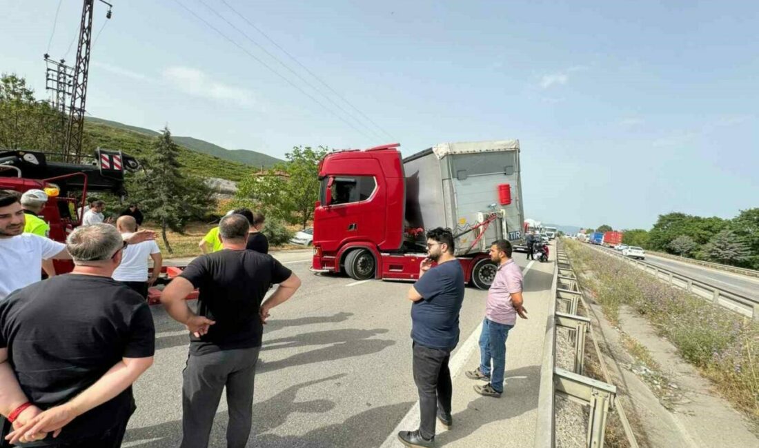 Bursa’nın Orhangazi ilçesinde seyir halindeki tır sürücüsü arının ısırması sonucu