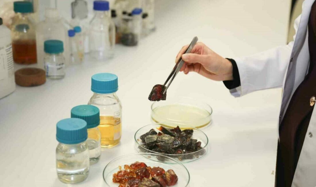 Bursa Teknik Üniversitesi’nde yoğun petrol bazlı plastik kullanılan alanlara yönelik,