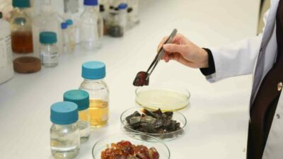 Bursa Teknik Üniversitesi’nde yoğun petrol bazlı plastik kullanılan alanlara yönelik,