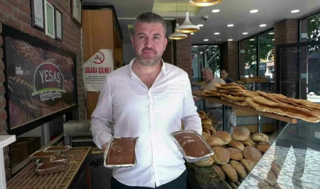 Bursa’nın Yenişehir ilçesinde özellikle Osmanlı Dönemi’nde padişahların ektirdiği siyez buğdayından