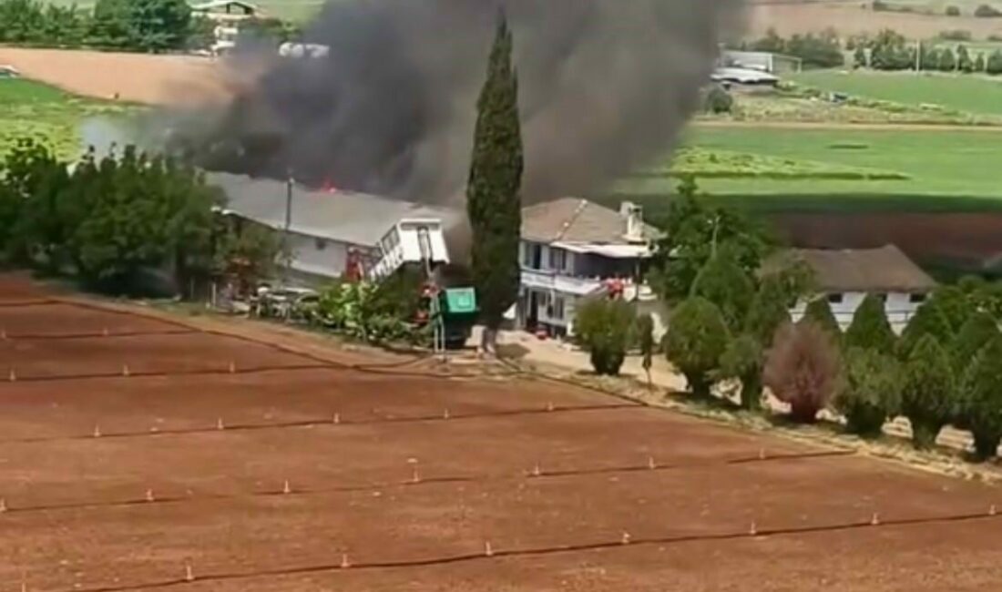Bursa’nın Yenişehir ilçesinde bulunan canlı hayvan çiftliğinde yangın çıktı. Yangını